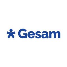 Gesam Società tra Professionisti S.r.l. Logo