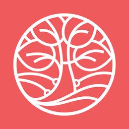 Morey Creative Studios Logo