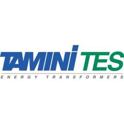 TES TRANSFORMER ELECTRO SERVICE S.r.l. Logo