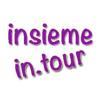 Insiemeintour Logo