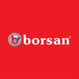 Borsan A.S. Logo