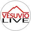 Vesuviolive.it Logo