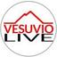 Vesuviolive.it Logo
