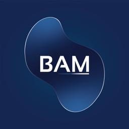 Boston Asset Manager Logo