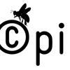 Pinvi Logo