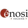 Enosi Holding S.r.l. Logo