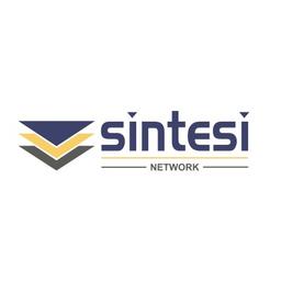 Sintesi Network Logo