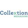 Collextion Mediazioni S.r.l. Logo