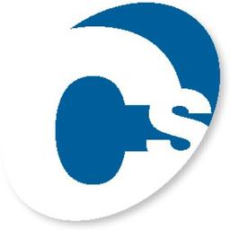 CONSULTING & SERVICE srl Logo