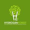 Hydrogen Forest Logo