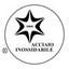 CENTRO INOX - Associazione Italiana per lo Sviluppo degli Acciai Inossidabili Logo