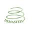 Demasteel S.r.l. Logo