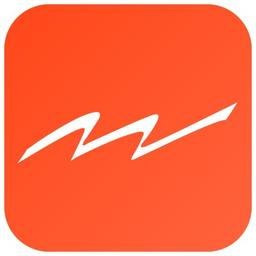 Mind-Mercatis srl Logo