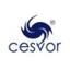 Cesvor - Centro per lo sviluppo e il benessere organizzativo Logo