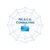 Nesce Consulting Logo