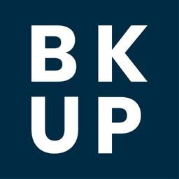 Blinkup srl Logo