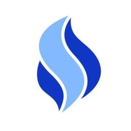 Testorelli Consulting Logo