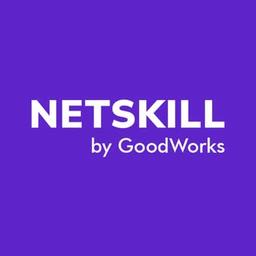 NetSkill Logo