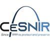CeSNIR srl Logo