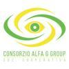 Consorzio Alfa G Group Logo