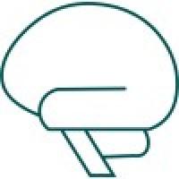 Adeptiv AI Logo