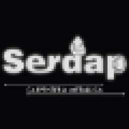 Serdap S.r.l. Logo
