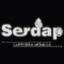 Serdap S.r.l. Logo