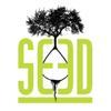 Seed Money → Nova Ventures Logo