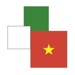 Chamber of Commerce Italy Vietnam - Phòng Thương mại Italia Việt Nam Logo