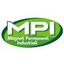 M.P.I. MAGNETI PERMANENTI INDUSTRIALI S.R.L. Logo