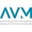 AVM SGR Logo