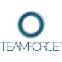 TEAMFORCE Logo