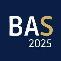Business Angel Summit Logo