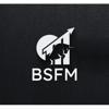 Bocconi Students Financial Markets Logo