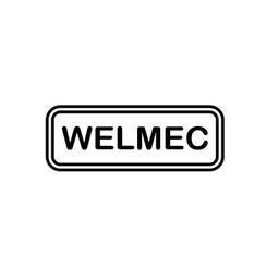 WELMEC Srl - Colmec Group Logo