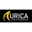Aurica Energia SRL Logo