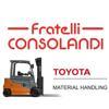 F.lli Consolandi srl Logo