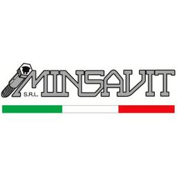Minsavit s.r.l. Logo