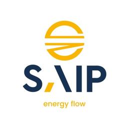 SAIP Logo