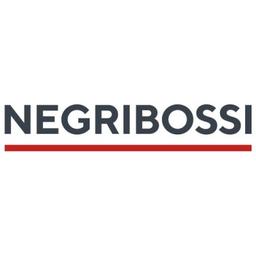 Negri Bossi Group Logo