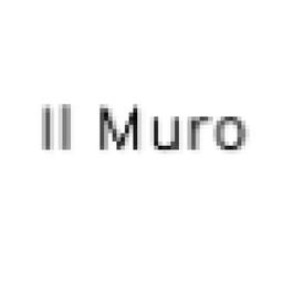 Il Muro dello Sport Logo