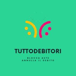 TUTTODEBITORI.IT Logo
