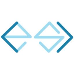 Embedded Solutions Logo