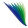 Niche S.r.l. Logo