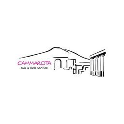 Cammarota Viaggi...Bus & Limo Service Logo