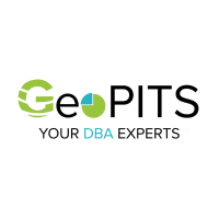 GeoPITS Global Pvt Ltd Logo