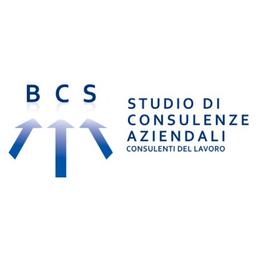 BCS CONSULENZE Logo