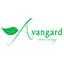 Avangard Srl Logo