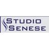 Studio Ingegneria Senese Logo