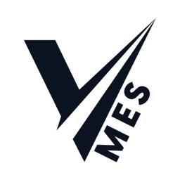 V-MES Srl Logo